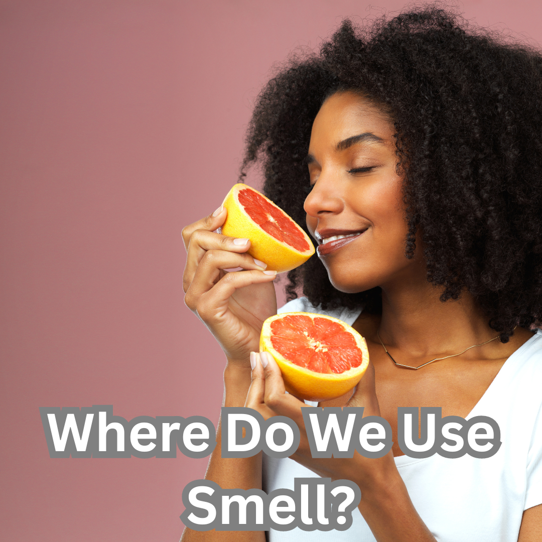 Where Do We Use Smell?